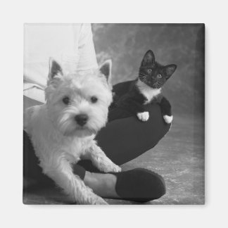 White Terrier und Katze Teilen Sie die Liebe Magnet