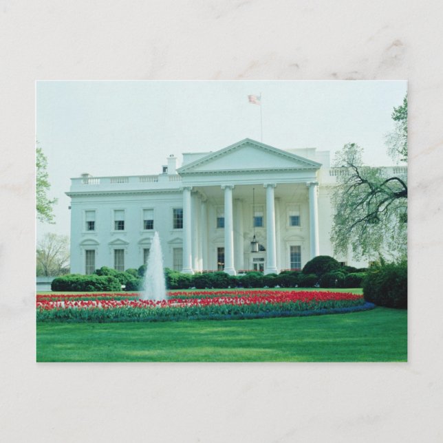 White The White House, Washington, D.C., USA Postkarte (Vorderseite)