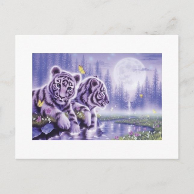 White Tiger Cubs Postkarte (Vorderseite)
