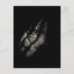 White Tiger Face Torn Claw Wild Safari Tierkatze Postkarte