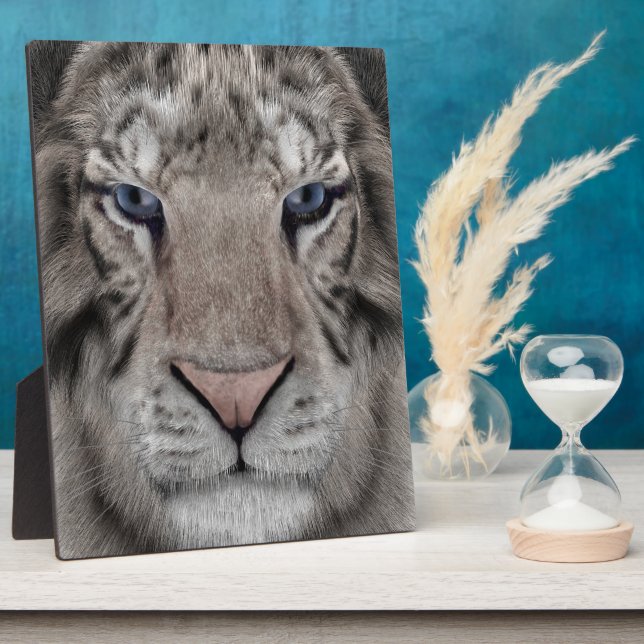 White Tiger Fotoplatte (Seite)
