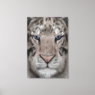 White Tiger Leinwanddruck