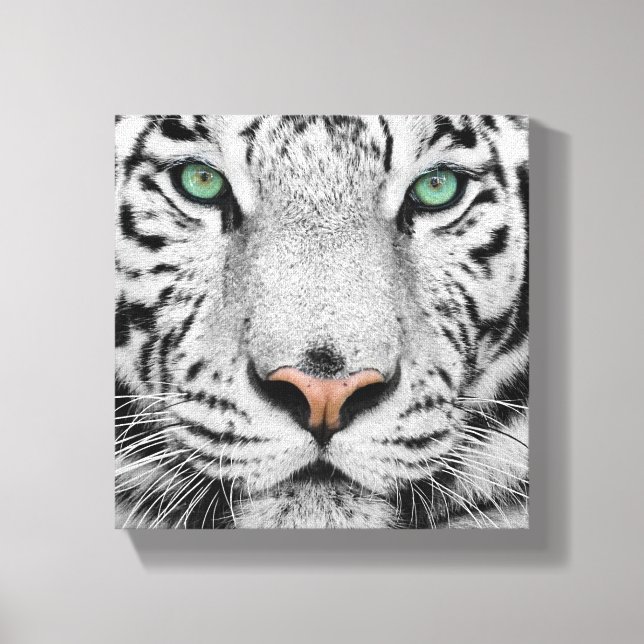 White Tiger Leinwanddruck (Vorderseite)