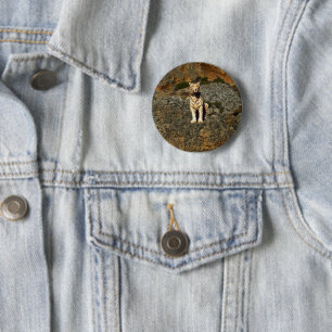 White Tiger Lookout, Button