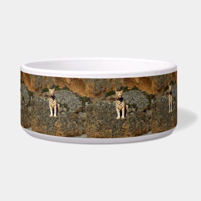 White Tiger Lookout, Napf (Vorderseite)