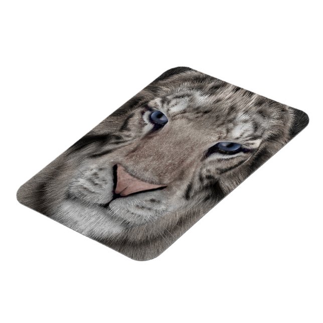 White Tiger Magnet (Linke Seite)