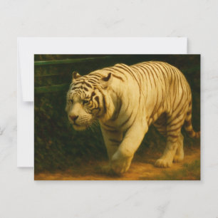 White Tiger Majestät - Stilvolle Wildlife Art Prin Postkarte
