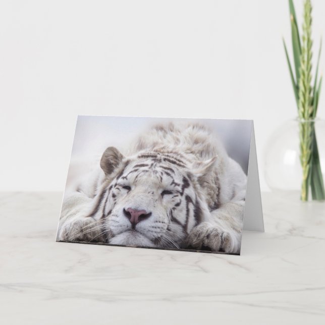 WHITE TIGER RELAXING BIRTHDAY CARD KARTE (Vorderseite)