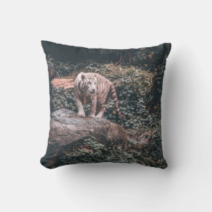 WHITE TIGER STEHEND AUF GRAY STONE KISSEN