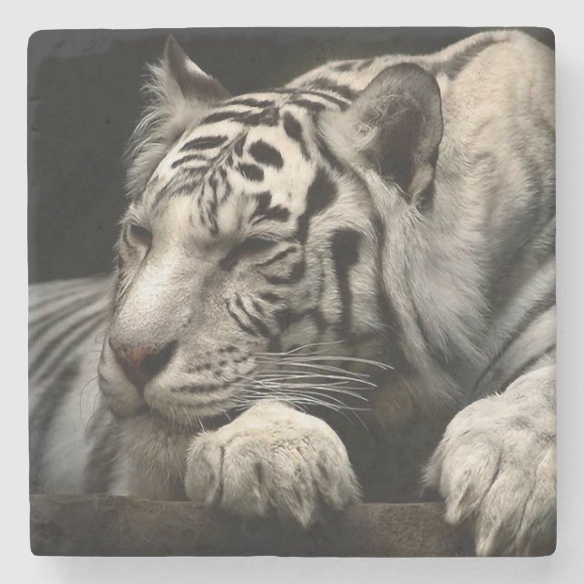White Tiger Steinuntersetzer (Vorderseite)