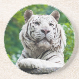 White Tiger Untersetzer