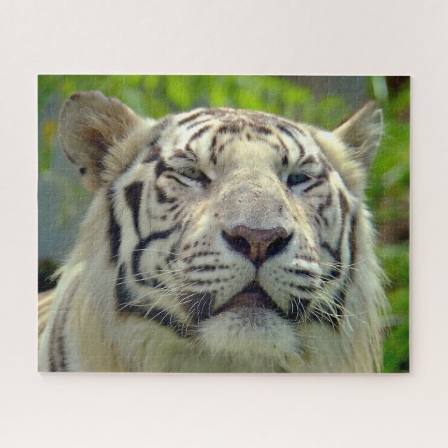 White Tiger Up Nah 2 Puzzle (Horizontal)