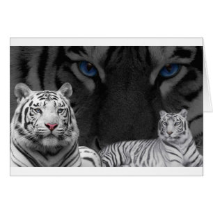 White Tigers
