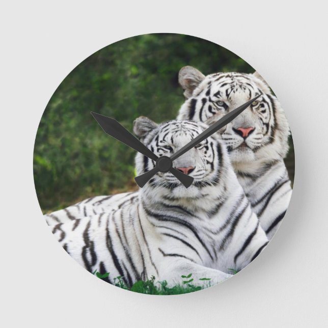 White Tigers Runde Wanduhr (Vorderseite)