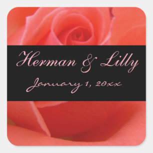 White Tipped Pink Rose Personal Wedding Quadratischer Aufkleber