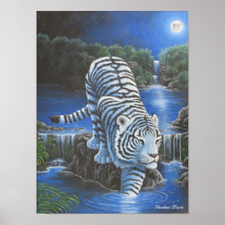 White Tirger Poster