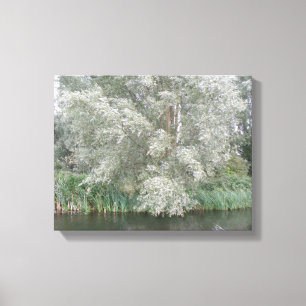 White Tree and River Landscape Canvas Print Leinwanddruck