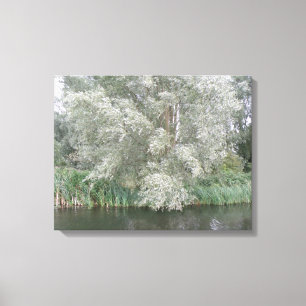 White Tree and River Landscape Canvas Print Leinwanddruck