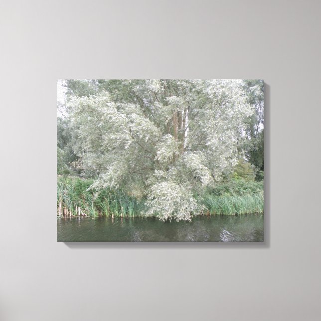 White Tree and River Landscape Canvas Print Leinwanddruck (Vorderseite)