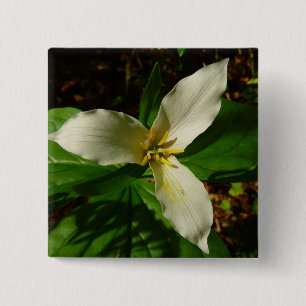 White Trillium Blume Spring Wildblume Button
