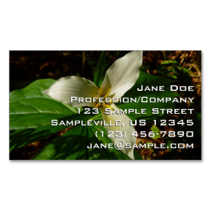 White Trillium Blume Spring Wildblume Magnetische Visitenkarte