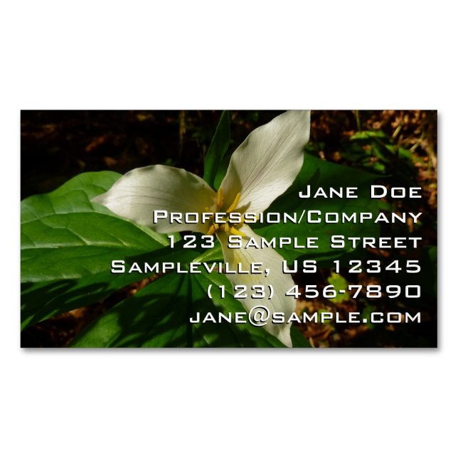 White Trillium Blume Spring Wildblume Magnetische Visitenkarte (Vorderseite)