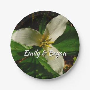 White Trillium Blume Spring Wildblume Pappteller