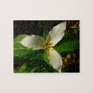 White Trillium Blume Spring Wildblume Puzzle