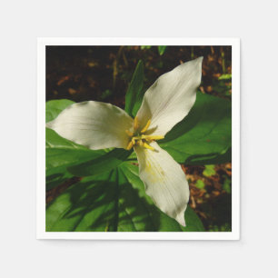 White Trillium Blume Spring Wildblume Serviette