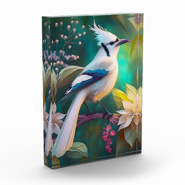 White Tufed Aquamarin Wing Jay Fantasy Bird Fotoblock (Links)