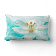 White Tulip Blume Blauer Wasserteich Aqua