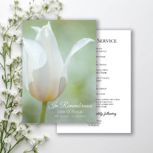 White Tulip Blume Frühjahrsfeier Gedenkfeier Programm