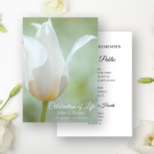 White Tulip Frühjahrsfeier zur Beerdigung des Lebe Einladung