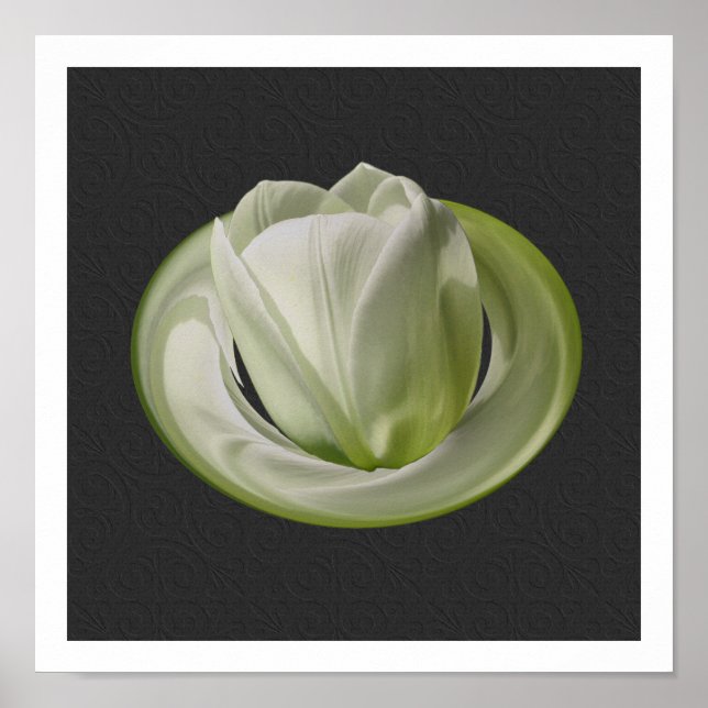 White Tulip Petals Floral Art Poster (Vorne)