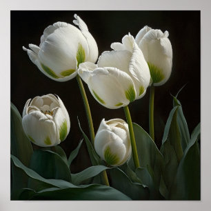 White Tulips Blume Art Print Poster