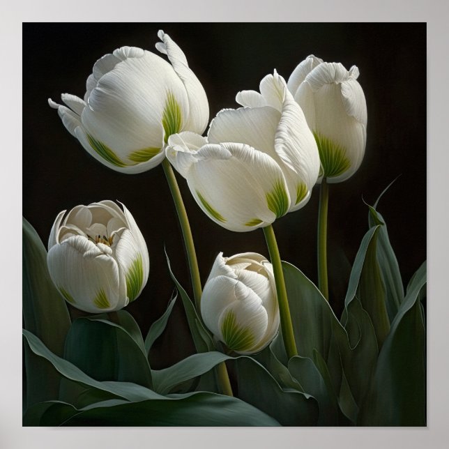 White Tulips Blume Art Print Poster (Vorne)