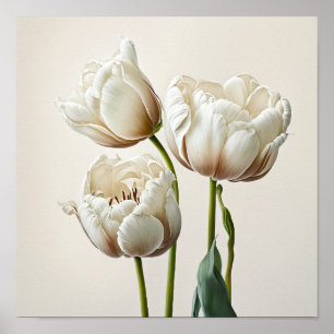 White Tulips Blume Art Print Poster