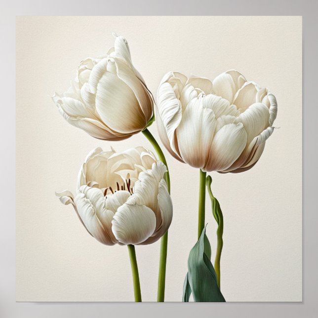 White Tulips Blume Art Print Poster (Vorne)