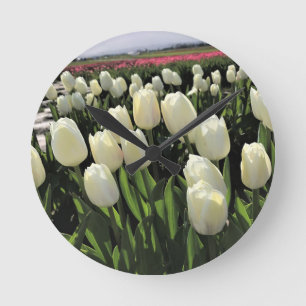 White Tulips in a Field, Oregon Runde Wanduhr