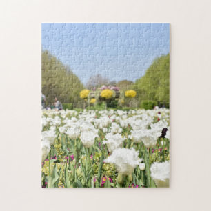 White Tulips Regent's Park Blume London England Puzzle