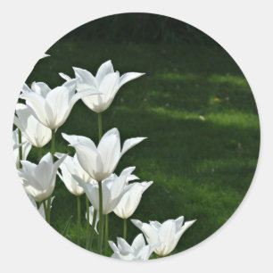 White Tulpe Wedding Aufkleber