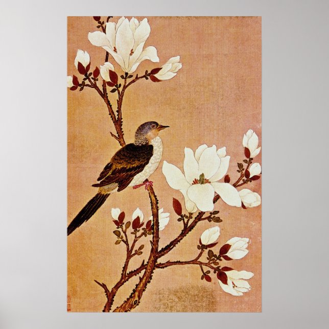 White Turtledove auf Blütenzweig, Chiang T'ing Poster (Vorne)