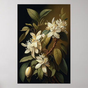 White Vanilla Blume Art Print Poster