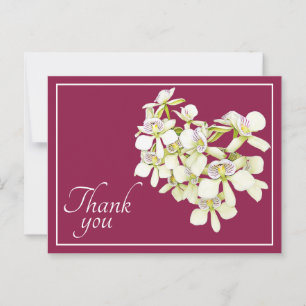 White Veined Orchids Crimson Hintergrund Vielen Da Postkarte
