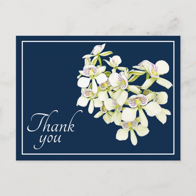 White Veined Orchids Navy Hintergrund Vielen Dank Postkarte (Vorderseite)
