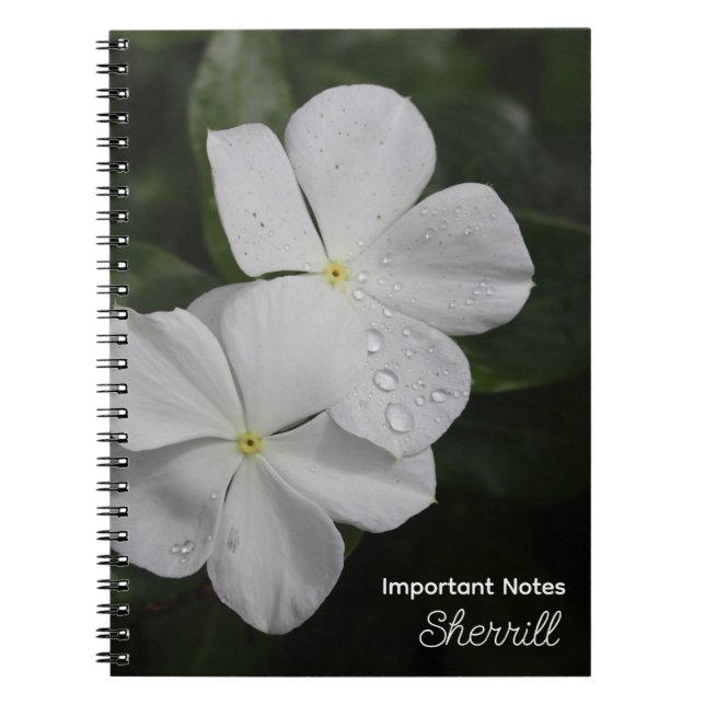 White Vincas Fotografie Personalisiertes Notebook Notizblock (Vorderseite)