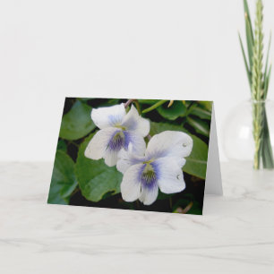 White Violet Pair Note Card Feiertagskarte