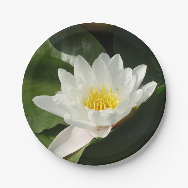 White Water Lilly, Lotus Blume Paper Plate Pappteller (Vorderseite)