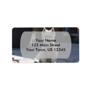 White West Highland Terrier auf Sidewalk Adressaufkleber