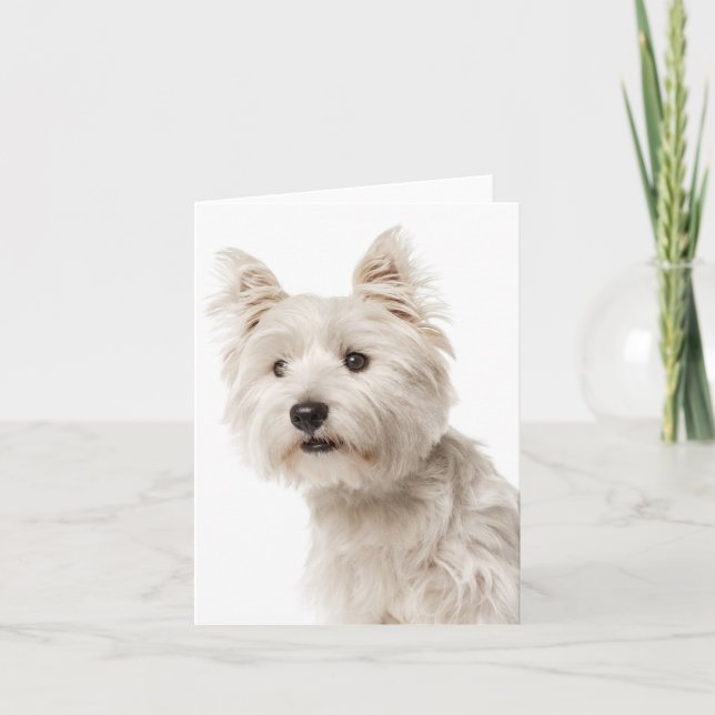 White West Highland Terrier Puppy Dog Hallo Liebe Karte (Vorderseite)